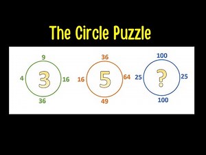 The Circle Puzzle.