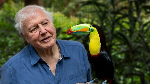 Trailer: Attenborough's Life in Colour