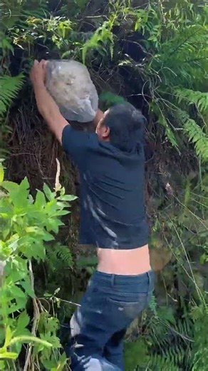 CATCH WASPS FOR YOU WITH A PLASTIC BAG #bee #honeybeesting #wasp #wildlife #waspnest #nature #animal