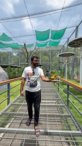 62K views · 4K reactions | From a massive walk-in aviary to a vibrant...