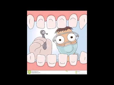 Τα δόντια μας - Φυσική Ε΄Δημοτικού