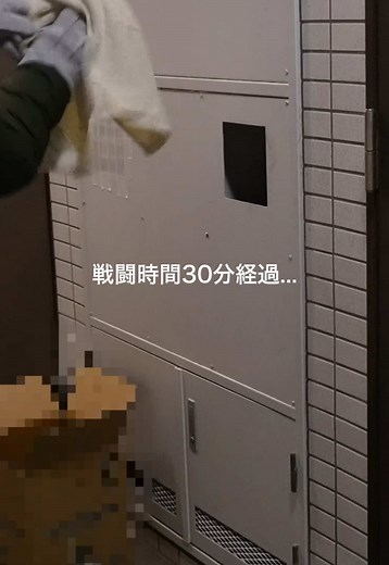 ハクビシン救出の勇気ある瞬間