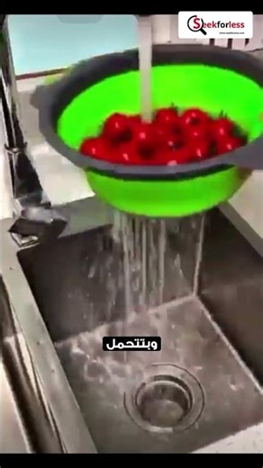 Collapsible Colander