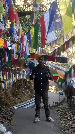 boss🦋 (@roshankarki066)’s videos with original sound - boss🦋