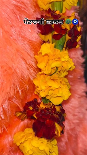 Mani Chander on Instagram: "❤️"