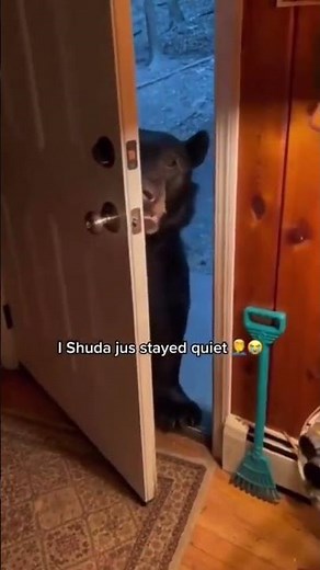 Bruh theres a whole bear at my front door meme