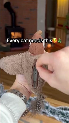 Interactive Flying Bird Cat Toy - Order Today 👇