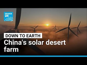Solar desert power: Inside China's mega farm • FRANCE 24 English