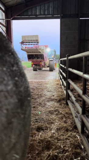 Exploration de l'Agriculture et des Vaches