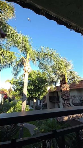 Hypersonic Fighter Paper Plane Long Distance Flight To The Sky