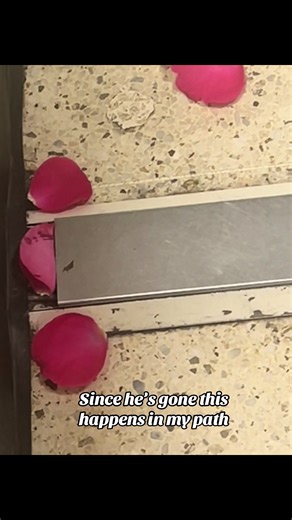 Diontetwin2012 (@diontetwin2012)’s videos with som original - Hera