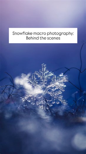Kristine | Winter Frost Nature Photography | Tutorials on Instagram: "Snowflake macro photography: my setup vs the final results ❄️ I don't use a tripod for my macro photos, but this felt like an exception. With the scale this tiny, I needed a lot longer exposure to get enough light in, and handheld wouldn't just cut it. I also used an LED light to illuminate the snowflakes. Usually all my photos are taken in natural light. Have you tried snowflake macro photography? Or do you have a different f
