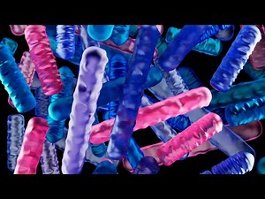 Taxonomie bactérienne