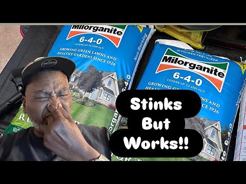 “Why I Use Milorganite in the Summer on My Bermuda Lawn – Full How-To Guide!”
