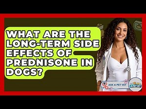 What Are The Long-term Side Effects Of Prednisone In Dogs? - Ask A Pet Vet