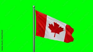Canada flag waving in the wind with colored chroma key with green background