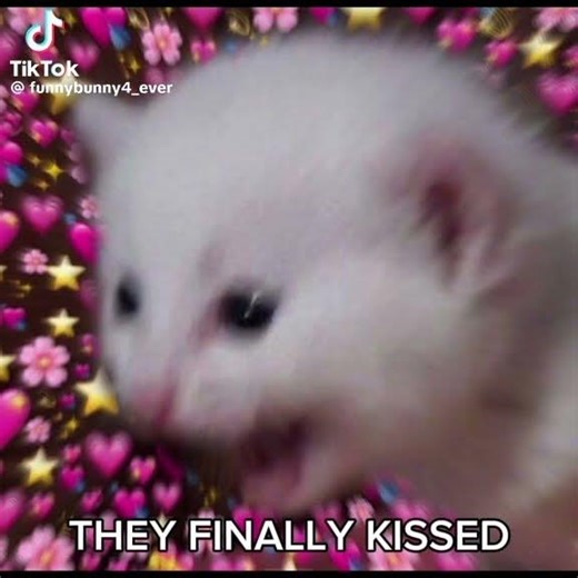 Ahora si es canon #tadc