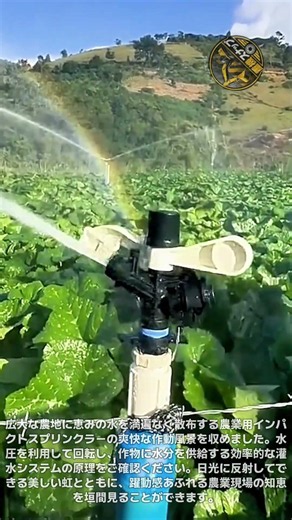 広大な農地を潤す農業用インパクトスプリンクラーの爽快な水しぶきと回転作動原理を完全分析！作物の成長に不可欠な効率的な灌水システムのすべてを徹底解説 #スプリンクラー #農業用灌水装置 #農業技術