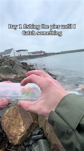 Pier Fishing Adventure: Day 1 Catch Challenges