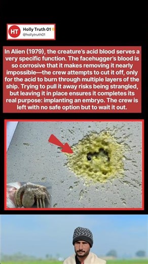 In Alien (1979), the creature’s acid blood serves a very specific function. The facehugger’s blood