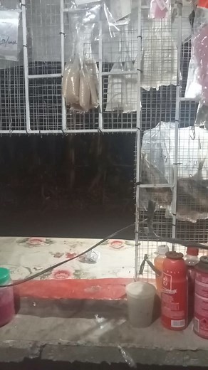 420K views · 4.8K reactions | Ayseg bugal bugal ba  | Mokilz Vlog 2.0 | Facebook