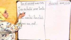 Comment et quand accorder le participe passé employé avec l'auxiliaire avoir? | Le français avec Nouma
