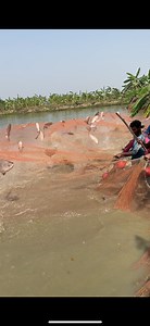 615K views · 1.8K reactions | Bigest fishing in bor bill | Daily Fishing Life | Facebook