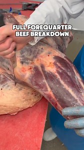 874K views · 10K reactions | Full Foequarter Breakdown 數 To purchase the boning knife used in this video head to the Butchers Block website - Limited Time Sale! https://butchersblock.org #fyp #chef #viral #butchery #cheflife #trending #meat | Country Valley Foods | Facebook