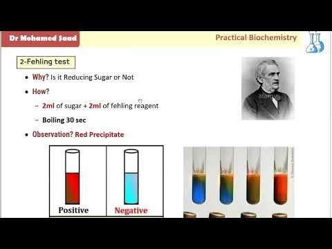 Practical Biochemistry Lab tests