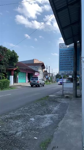 viona trans