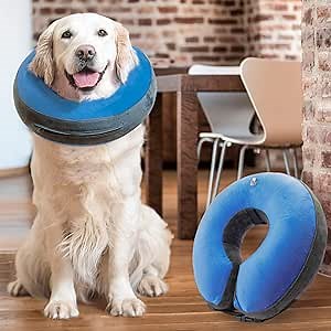 GoodBoy Comfortable Recovery E-Collar for Dogs and Cats – Soft Inflatable Donut Collar Designed for Protecting Small Medium or Large Pets Post Surgery or Wounds (Blue, 2)