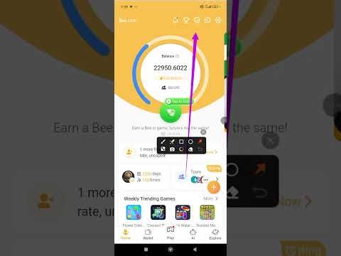Bee network XP points & Bee wallet linkage - How to earn more XP & link your bee web3 wallet