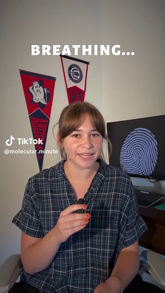 Understanding the Connection Between Breath and Brain