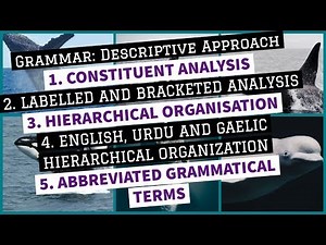Grammar | Constituent, Labelled & Bracketed Analysis | Hierarchical Organisation | Gaelic & Urdu |