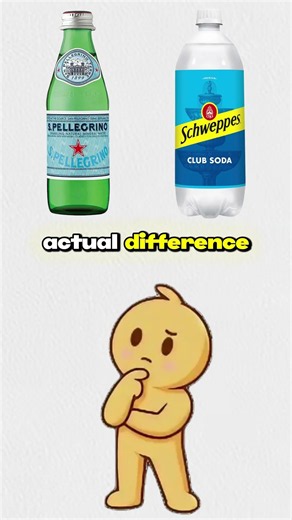 Sparkling Water vs Club Soda: What's The Difference? 🫧💧