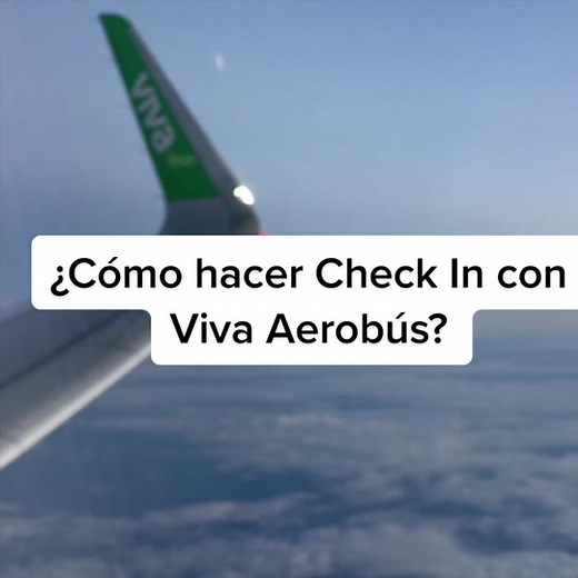 Cómo hacer Check In con Viva Aerobús