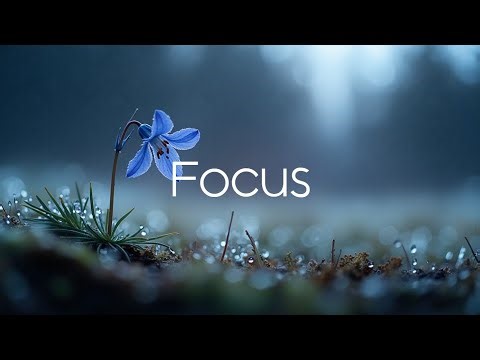 Soft Guitar & Piano Morning Music ~ Relaxing Melodies for a Peaceful Start 🌅