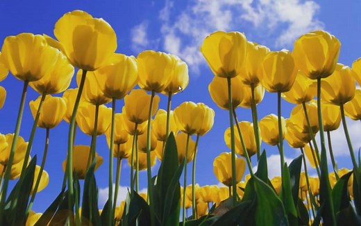 Windows XP x64 体验