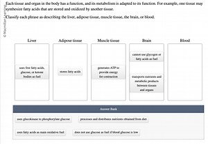 Each tissue and organ in the body has a function, and its metab... | Filo