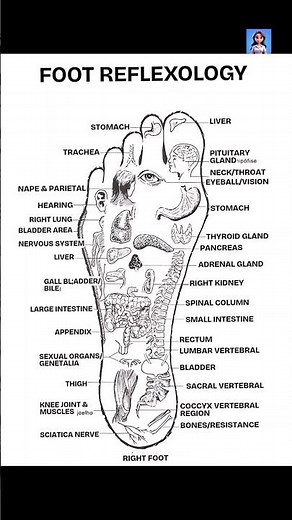 Foot Reflexology Chart | Foot Reflexology Chart