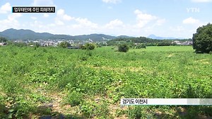 업무태만에 주민 피해까지...공무원의 갑의 횡포 / YTN