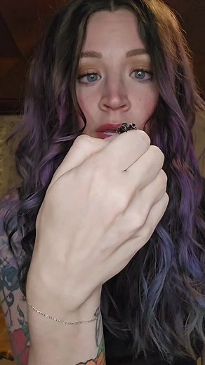 Some are just a little more different. #jumpingspider #pets #fyp #petcare