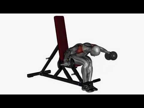 Seated Dumbbell Rear Delt Fly - Proper Form & Technique [4K]