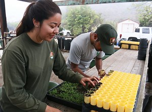 Landscape Stewardship Corps - Historic Preservation Training Center (U.S. National Park Service)