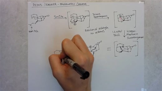 Total Synthesis of Arcutinidine