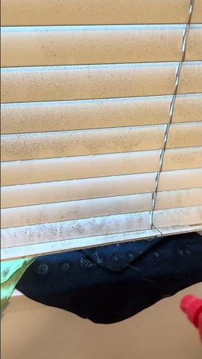 How to clean Venetian blind without removing them? #AngelicMouldRemoval#MoveOutCleaning