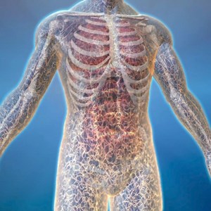 2.4K views · 26 reactions | Understanding Fascia and Dehydration....