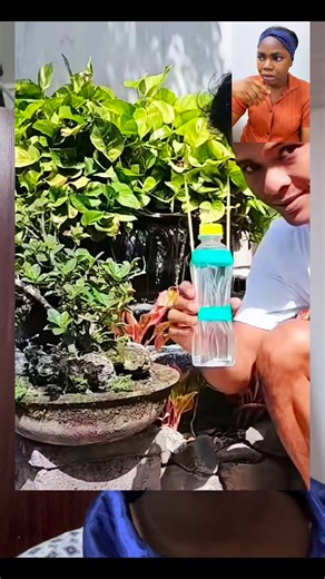 Watch and learn this wonderful hack for your garden | Amy Creativity
