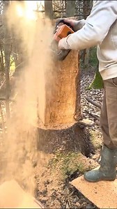 #chainsaw #woodcutting #logginglife #woodworking #fblifestyle | LumberJack Zu