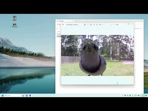 How to merge two or more video files in Microsoft Clipchamp